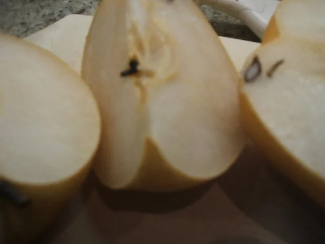 Dessert: Nashi-Joghurt-Dessert - Rezept - Bild Nr. 3