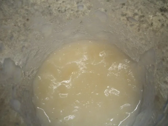 Dessert: Nashi-Joghurt-Dessert - Rezept - Bild Nr. 4