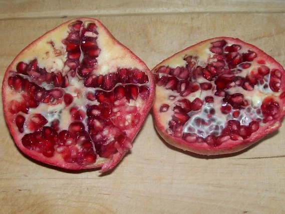 Kleine Granatapfel-Käsekuchen - Rezept - Bild Nr. 2