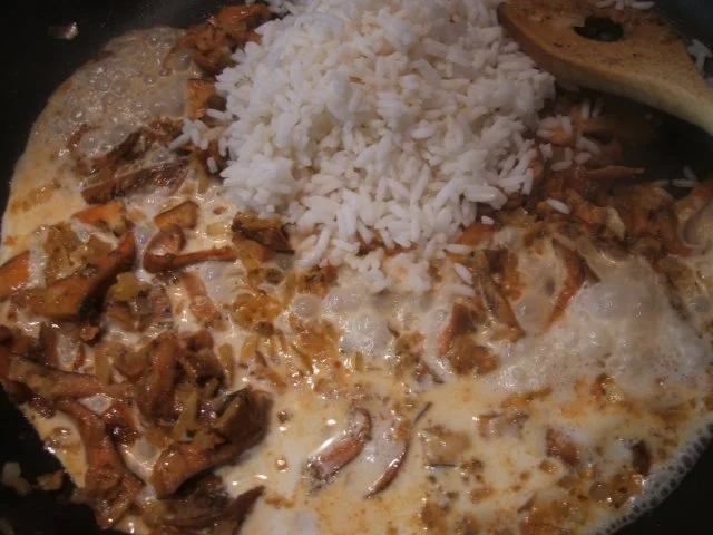 Rezept: Reis: Pilzreis Bild Nr. 4 Reis: Pilzreis - Rezept - Bild Nr. 4