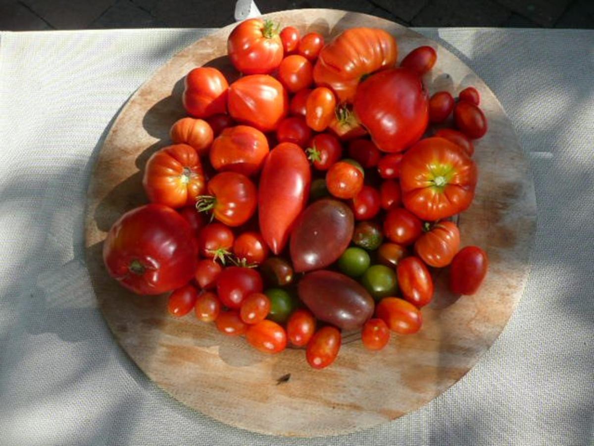 ERNTE / ZUCCHINIPÄCKCHEN auf TOMATENBETT - Rezept - Bild Nr. 8