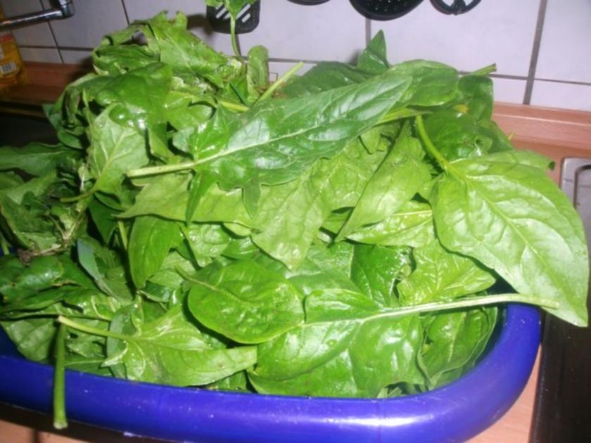 junger Spinat mit Wunschei - Rezept mit Bild junger Spinat mit Wunschei - Rezept mit Bild