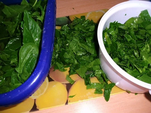 junger Spinat mit Wunschei - Rezept - Bild Nr. 4