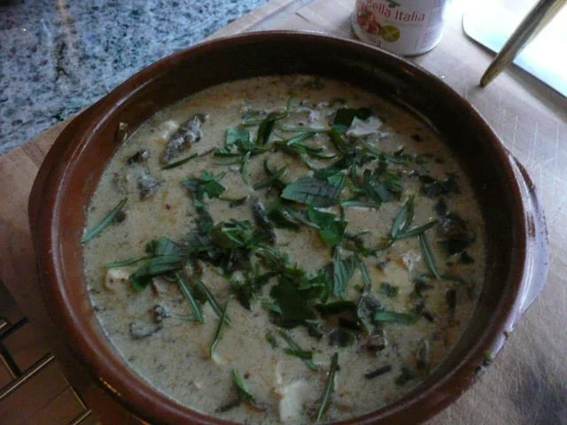 PILZE / STEINPILZ- MOZZARELLA  -GRATIN - Rezept