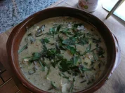 PILZE / STEINPILZ- MOZZARELLA  -GRATIN - Rezept