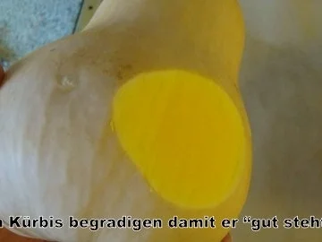 Butternusskürbis mit Hackfüllung - Rezept - Bild Nr. 3