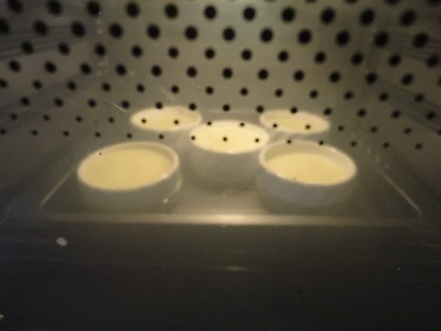 Eierlikör Creme Brulee - Rezept - Bild Nr. 7