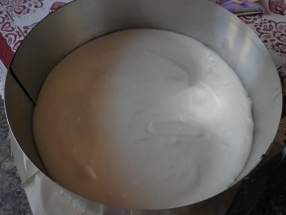 Schokoladen - Käsesahne - Torte "Tricolor" ... - Rezept - Bild Nr. 11