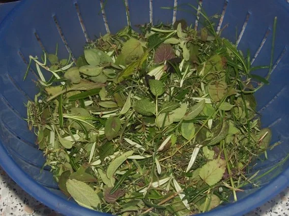 Mediterrane Kräutermischung tiefgefroren, zwei Varianten - Rezept - Bild Nr. 2