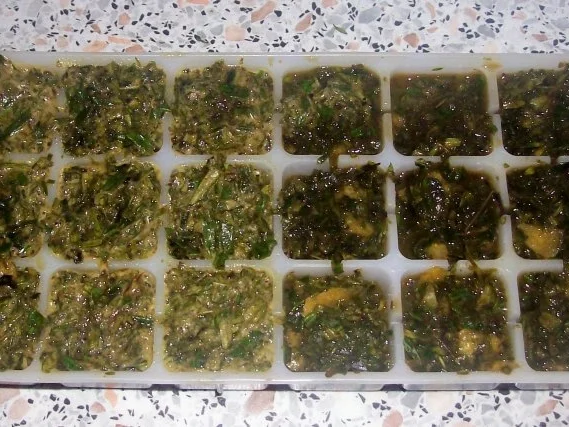 Mediterrane Kräutermischung tiefgefroren, zwei Varianten - Rezept - Bild Nr. 4