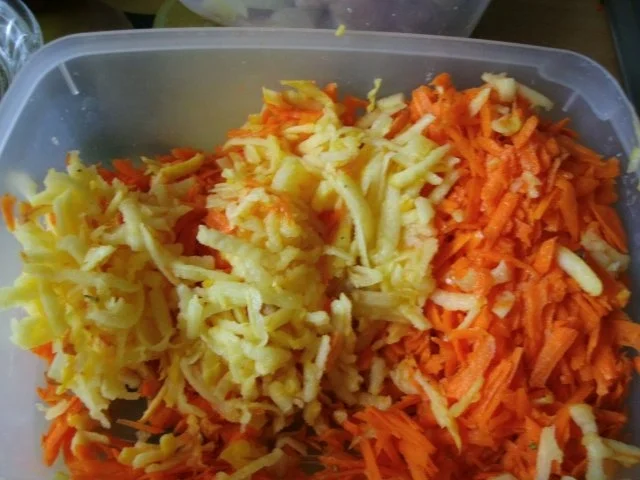 Fleischpfännchen  mit ganz viel Zwiebel in Senfsahnesoße mit Möhrenapfelrohkost - Rezept - Bild Nr. 5