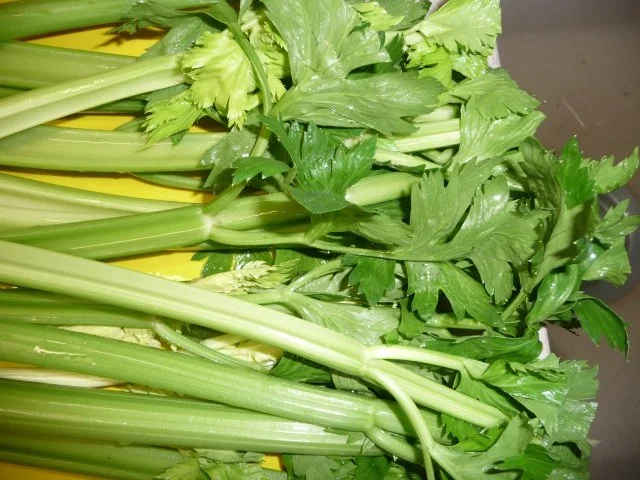 Bolognese Sauce / Salsa Bolognese / Sauce Bolognaise - Rezept - Bild Nr. 2