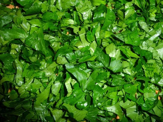 Bolognese Sauce / Salsa Bolognese / Sauce Bolognaise - Rezept - Bild Nr. 13