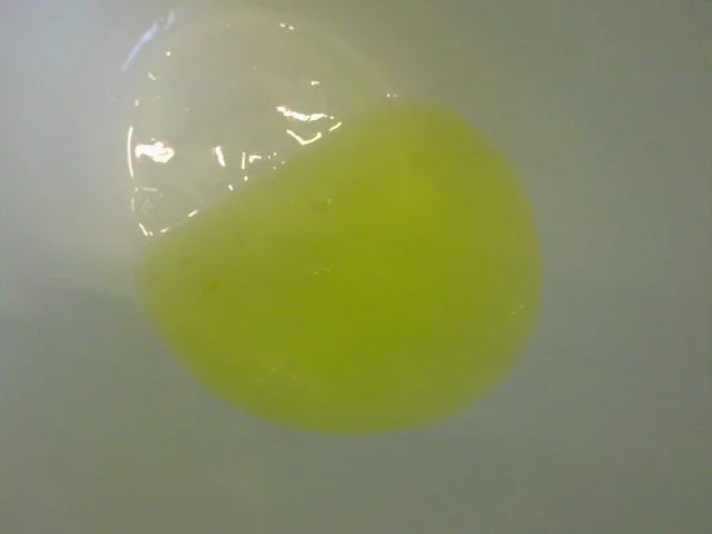 Vanille-Nusscreme mit rotem Tortenguß - Rezept - Bild Nr. 4