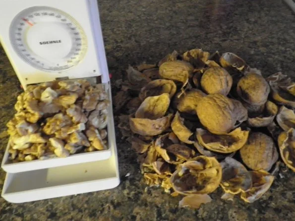 Walnuss - Brownies ... - Rezept - Bild Nr. 7