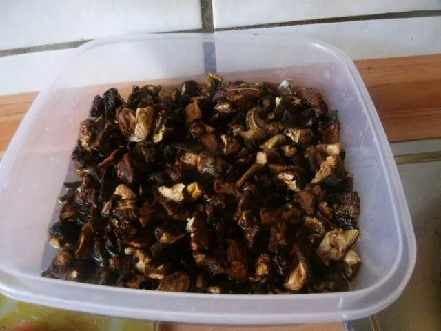 Gulasch aud dem Bräter mit Pilzen .....NT gegart - Rezept - Bild Nr. 3