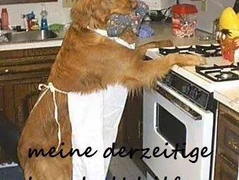 Hühnerfilet gebettet in Gemüse unter Lasagneblättern - Rezept - Bild Nr. 2