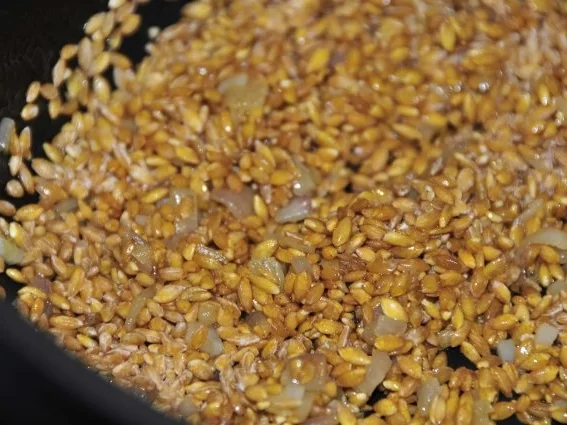 Einkornrisotto mit Steinpilzen und Karotten - Rezept - Bild Nr. 2