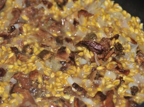 Einkornrisotto mit Steinpilzen und Karotten - Rezept - Bild Nr. 3