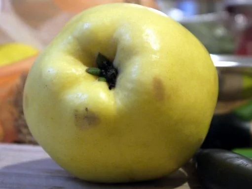 Rezept: Quitten-Hähnchen-Pfanne Bild Nr. 2 Quitten-Hähnchen-Pfanne - Rezept - Bild Nr. 2