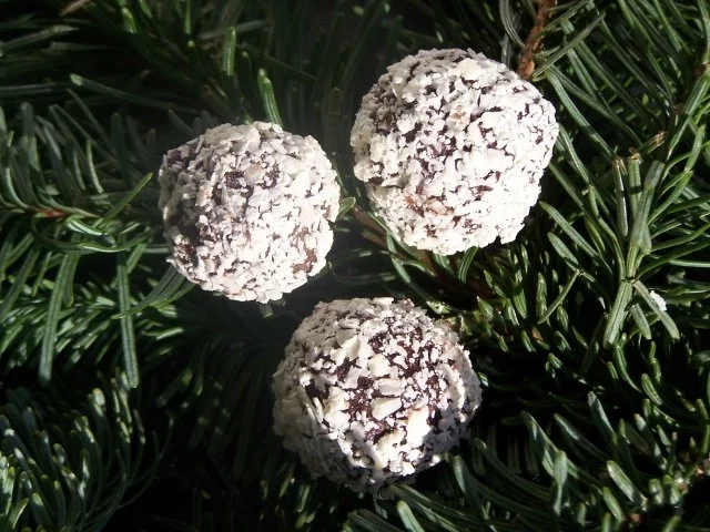 Weinbrandtrüffel Pralinen - Rezept - Bild Nr. 3