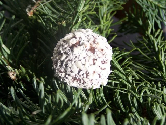 Weinbrandtrüffel Pralinen - Rezept - Bild Nr. 2