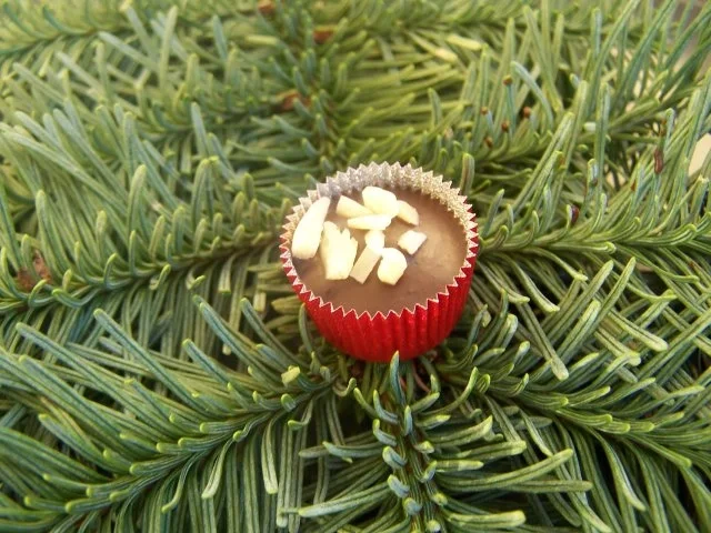 Rezept: Kaffee Sahne Pralinen Bild Nr. 5 Kaffee Sahne Pralinen - Rezept - Bild Nr. 5