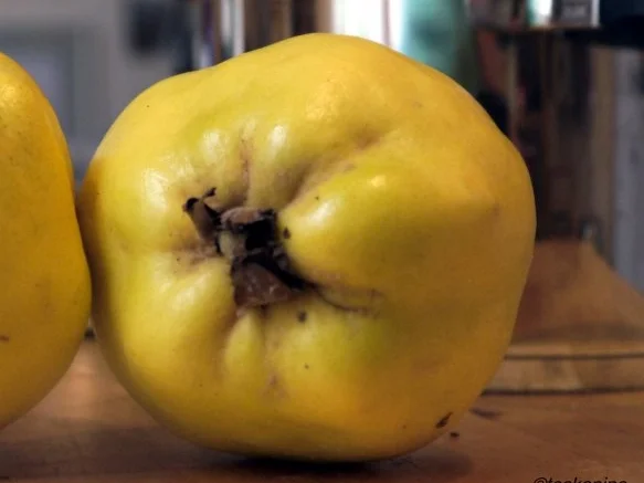 Quitten-Apfel-Tarte - Rezept - Bild Nr. 4