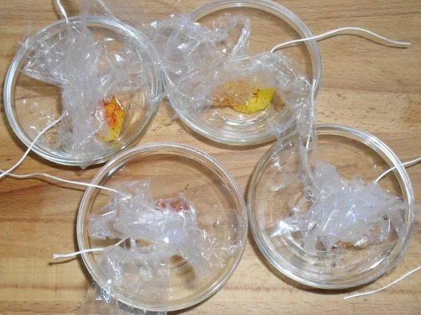 Hokkaidosuppe - Rezept - Bild Nr. 5