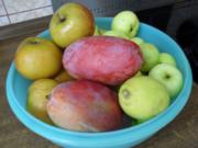 Apfel-Mango-Kompott - Rezept