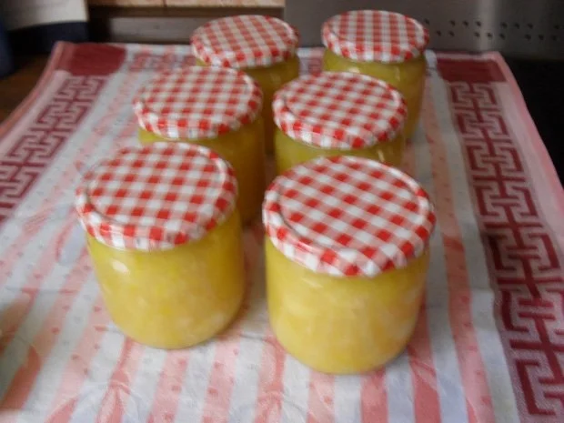 Apfel-Mango-Kompott - Rezept - Bild Nr. 7