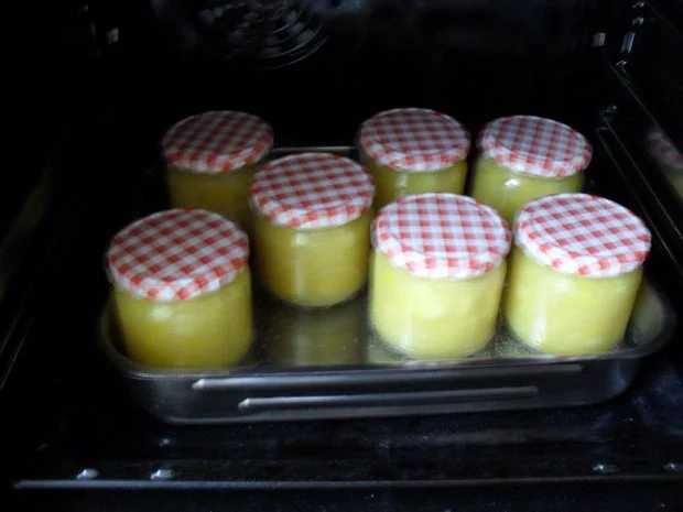 Apfel-Mango-Kompott - Rezept - Bild Nr. 8