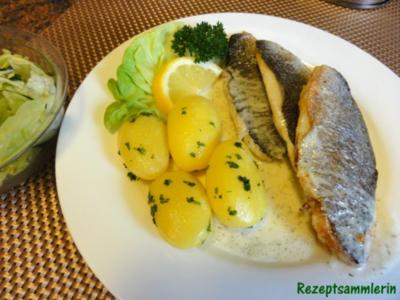 Fisch:   DORADENFILET an Zitronen-Dill-Schaum - Rezept