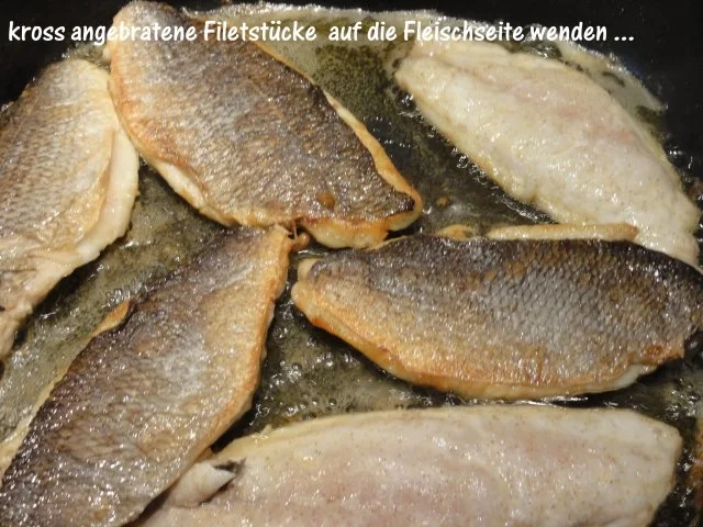 Rezept: Fisch: DORADENFILET an Zitronen-Dill-Schaum Bild Nr. 8 Fisch: DORADENFILET an Zitronen-Dill-Schaum - Rezept - Bild Nr. 8