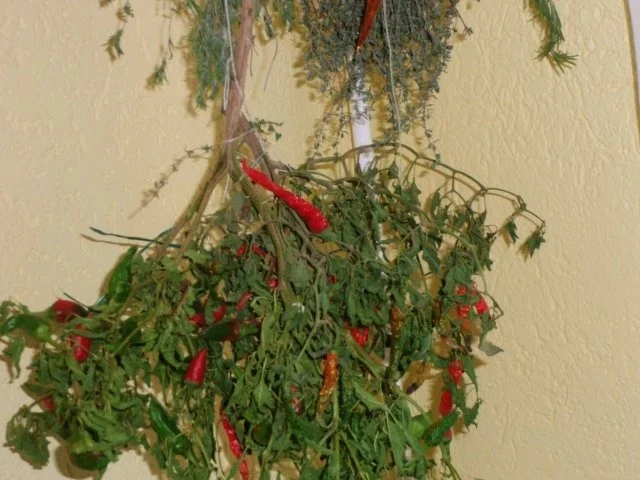 Chili con Carne - Rezept - Bild Nr. 7