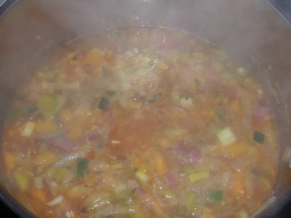 Eintöpfe/Suppen: Feiner Zwiebel-Gemüse-Eintopf mit Paprika-Hackbällchen - Rezept - Bild Nr. 11