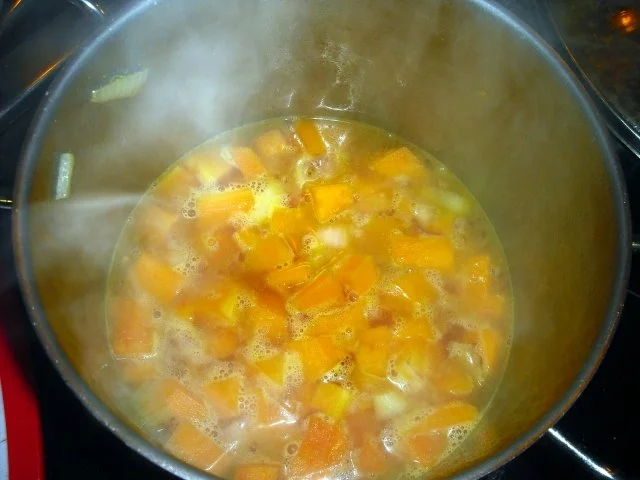 Rezept: Kürbiscremesuppe mit Ingwer Bild Nr. 4 Kürbiscremesuppe mit Ingwer - Rezept - Bild Nr. 4