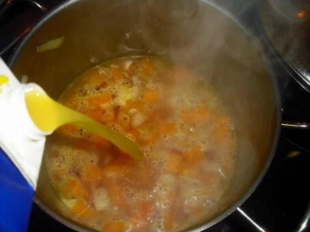 Rezept: Kürbiscremesuppe mit Ingwer Bild Nr. 5 Kürbiscremesuppe mit Ingwer - Rezept - Bild Nr. 5