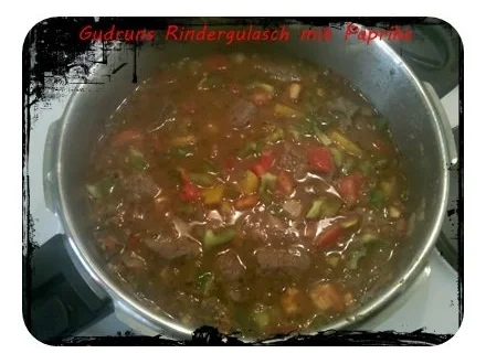 Fleisch: Pikantes Paprika-Gulasch â la Gudrun - Rezept - Bild Nr. 4