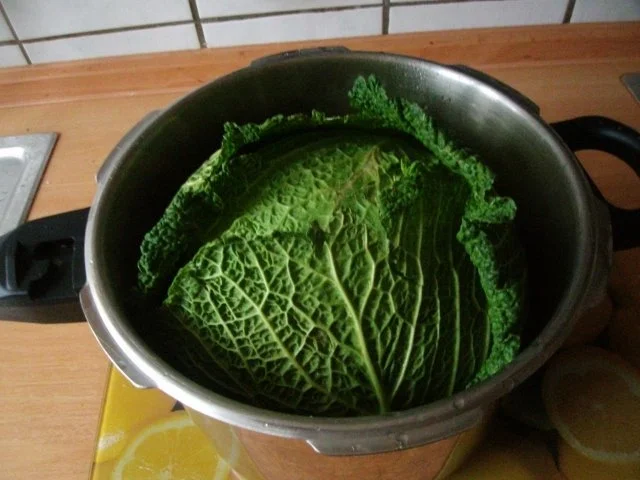 herzhafte Kohlrouladen ......vom Wirsing - Rezept - Bild Nr. 3