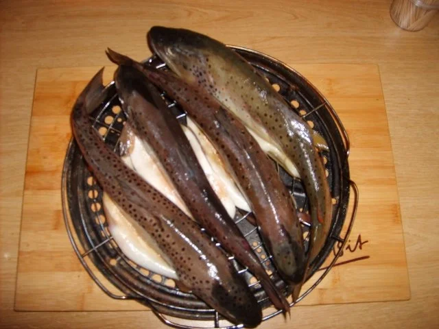 Frische selbst geräucherte Bachforelle - Rezept - Bild Nr. 6