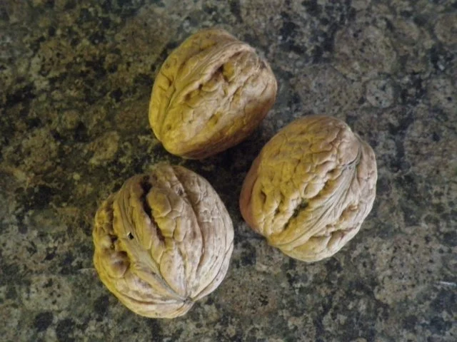 Rezept: Pflaumen - Crumble mit Walnüssen Bild Nr. 9 Pflaumen - Crumble mit Walnüssen - Rezept - Bild Nr. 9