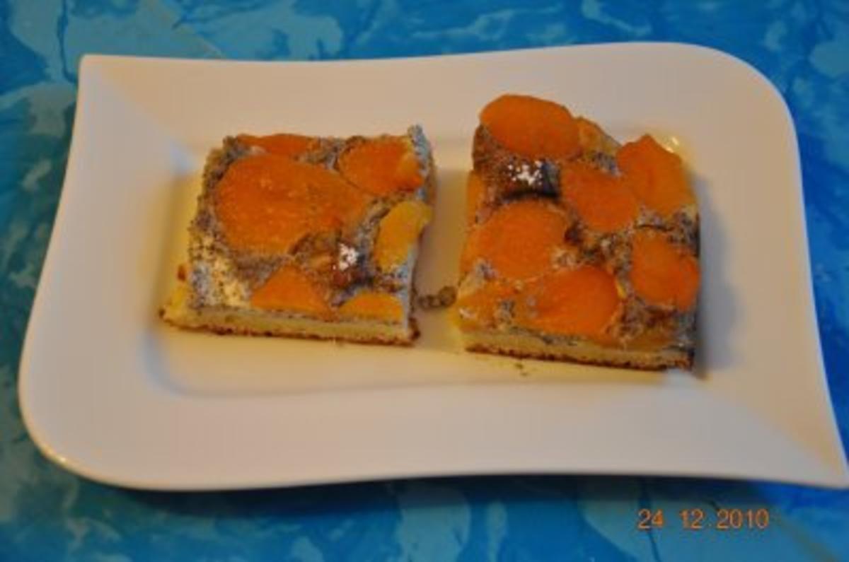 Kuchen:Aprikosen-Mohnkuchen - Rezept mit Bild - kochbar.de