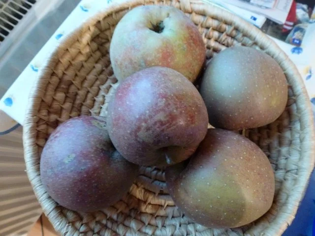 Äbbelbrei nach Oma,s hessischer Art - Rezept - Bild Nr. 2