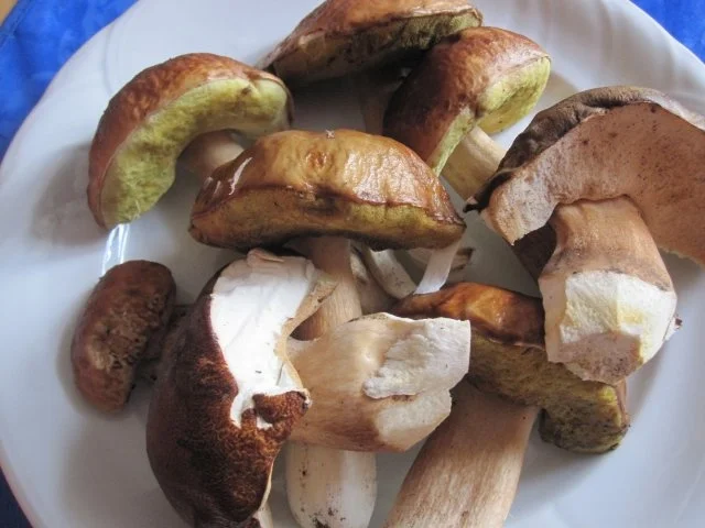 Gebackene Stein- und Herrenpilze mit Sauce Tartare - Rezept - Bild Nr. 2