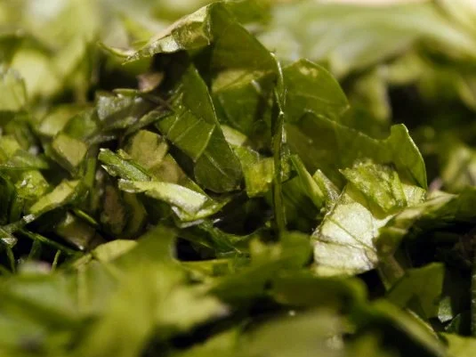 Rezept: Selbstgemachte Spaghetti mit Belper Knolle Bild Nr. 6 Selbstgemachte Spaghetti mit Belper Knolle - Rezept - Bild Nr. 6