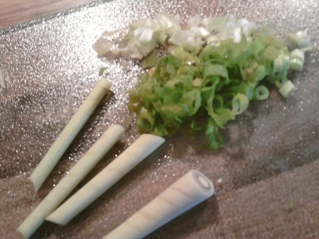 Trapper-Asia "Hähnchen mit Orange" - Rezept - Bild Nr. 4