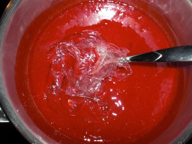 Himbeertorte mit Schoko- und Vanillesahne - Rezept - Bild Nr. 23