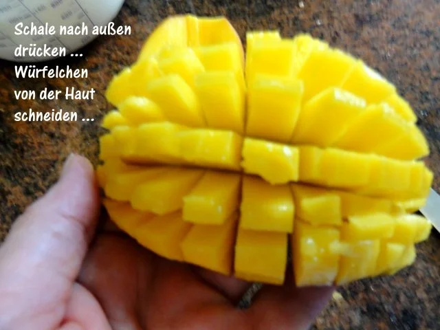 Rezept: KuchenZwerg: MANGO - JOGHURT - TORTE Bild Nr. 7 KuchenZwerg: MANGO - JOGHURT - TORTE - Rezept - Bild Nr. 7