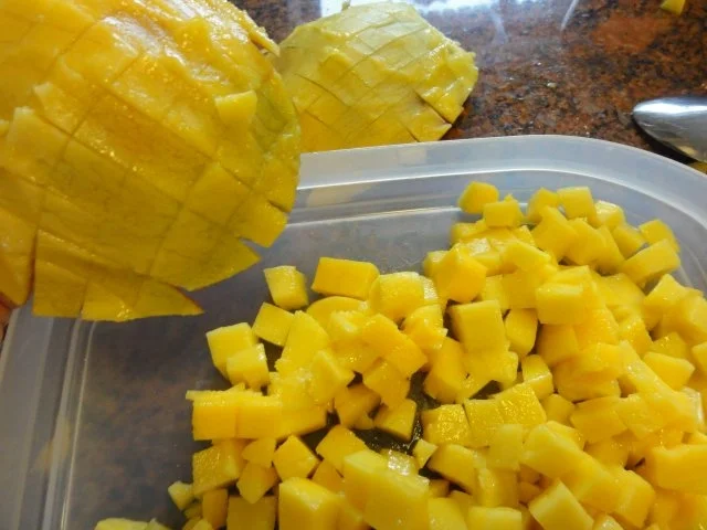 Rezept: KuchenZwerg: MANGO - JOGHURT - TORTE Bild Nr. 8 KuchenZwerg: MANGO - JOGHURT - TORTE - Rezept - Bild Nr. 8